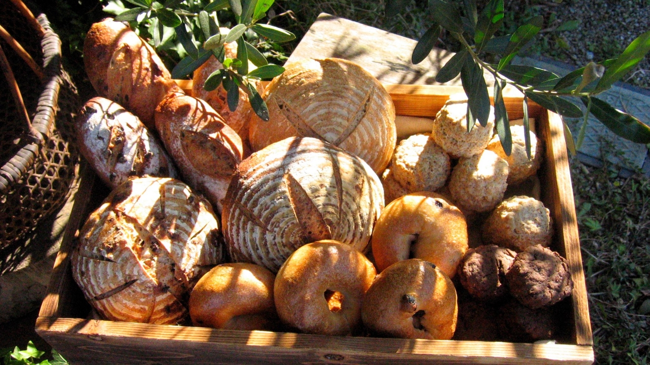 八王子で心も体も喜ぶパン巡り|自家製酵母などを使用した、こだわり自然派パン屋さん5選